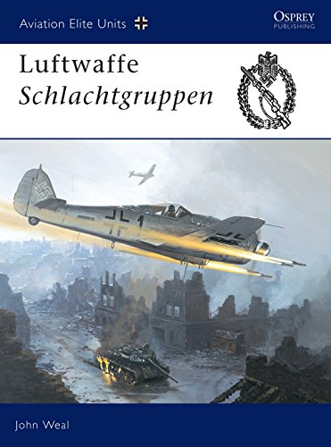 Luftwaffe Schlachtgruppen (Aviation Elite Units, 13)